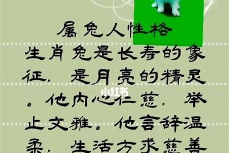 一字千金是什么生肖？？生肖兔子出生冬天