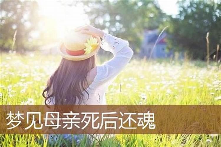 离异的女人梦见母亲好不好