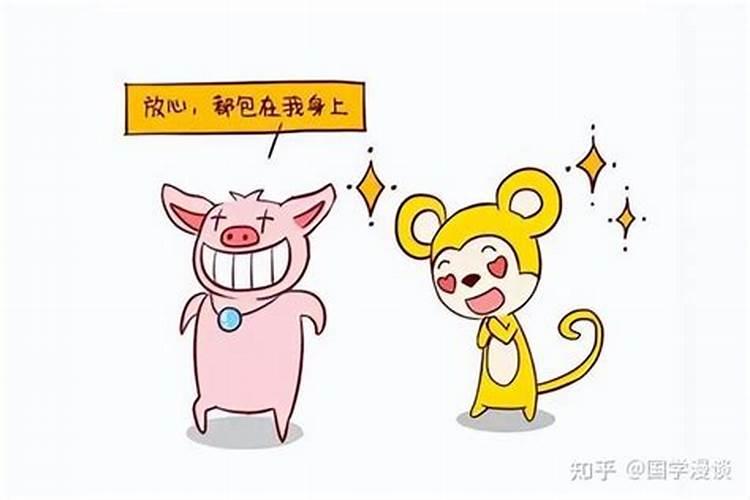 生肖猪跟生肖鼠(生肖鼠和生肖猪有什么福气啊)