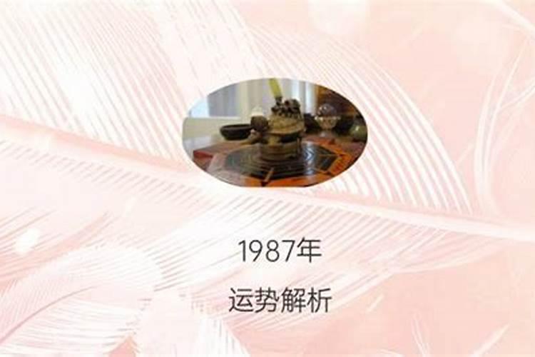 1987年农历正月十一出生的运势