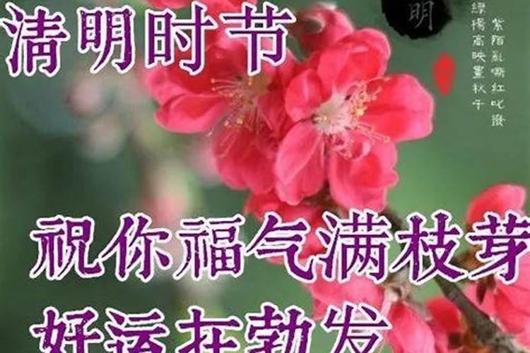 4月5号清明节出生的小孩