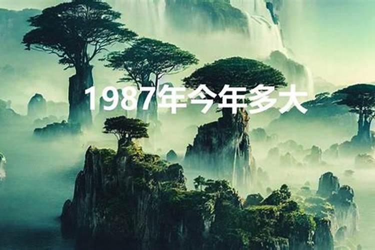 1987年生今年的运势