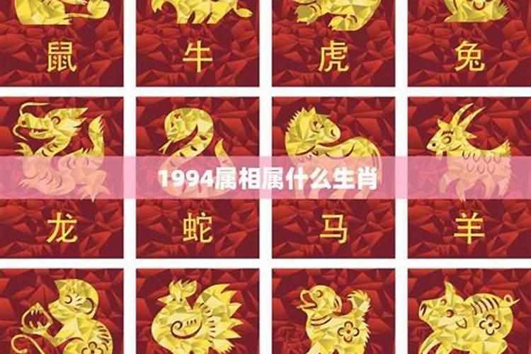 1994年属什么的是什么命