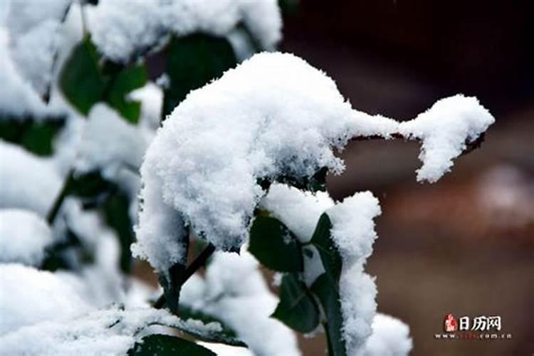 立冬小雪是在几月份