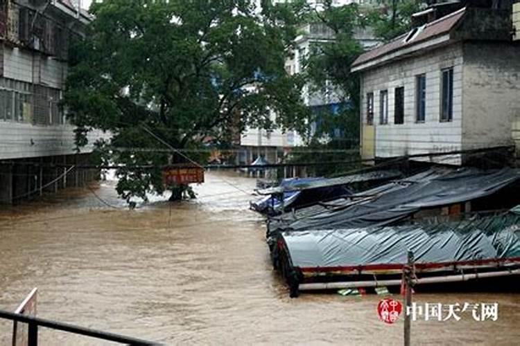 梦见下大雨房子被淹表示什么意思呀？洪水淹没村庄大树一棵棵倒下