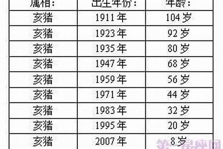 猪本命年是几几年？猪本命年是哪一年