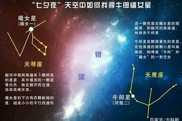 牛郎织女是什么星座的星体名称？牛郎属于什么星座