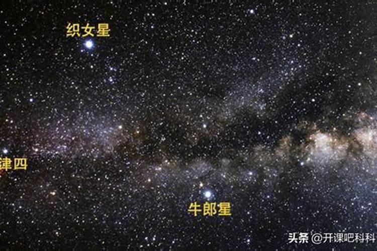 牛郎织女是什么星座的星体名称？牛郎属于什么星座