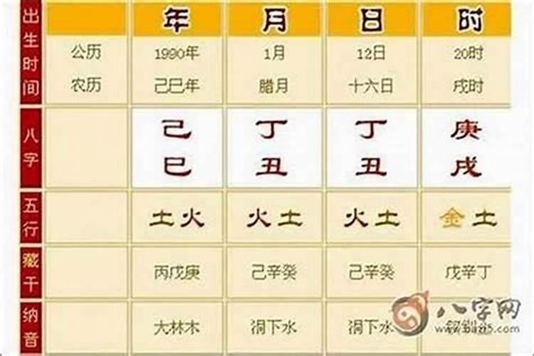 八字硬不硬好不好看