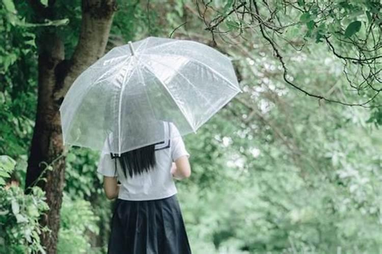 梦见给别人撑伞自己淋雨