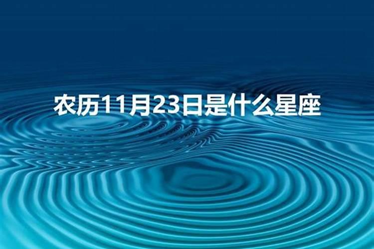 农历1998年11月23日什么星座