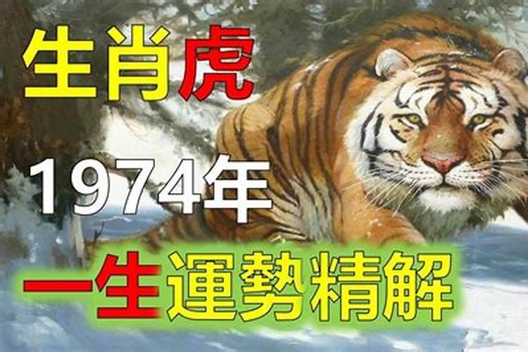 1974年属虎哪年运势及运程最好