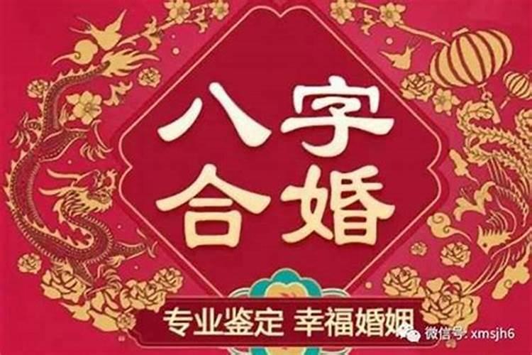 八字合婚准还是属相合婚准