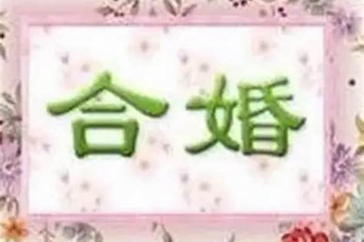 八字合婚准还是属相合婚准