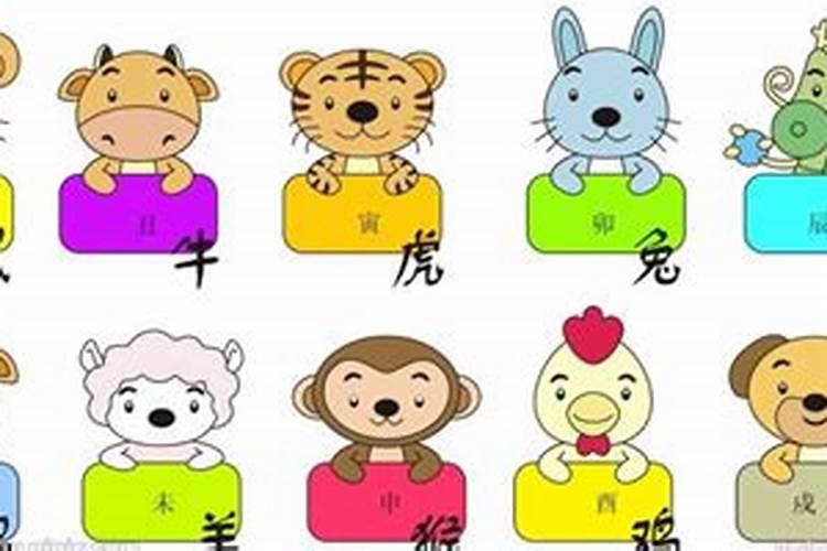 十二生肖的孩子是什么 样的？属兔人生什么生肖的宝宝最好