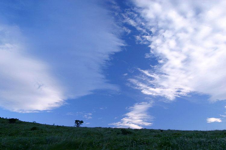 属龙是什么星座的2012年8月2日