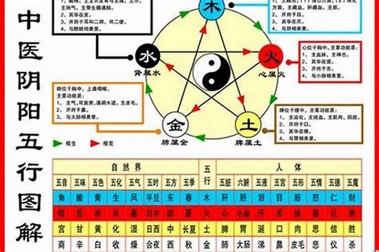 1984年7月属鼠是什么命