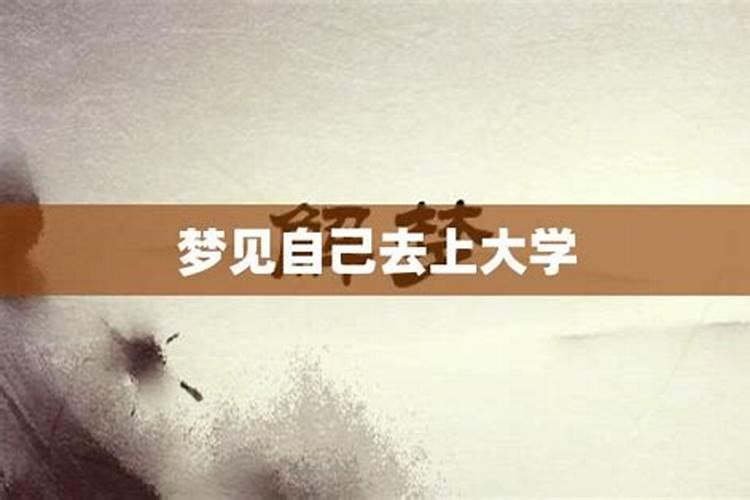 梦见去别的大学参观