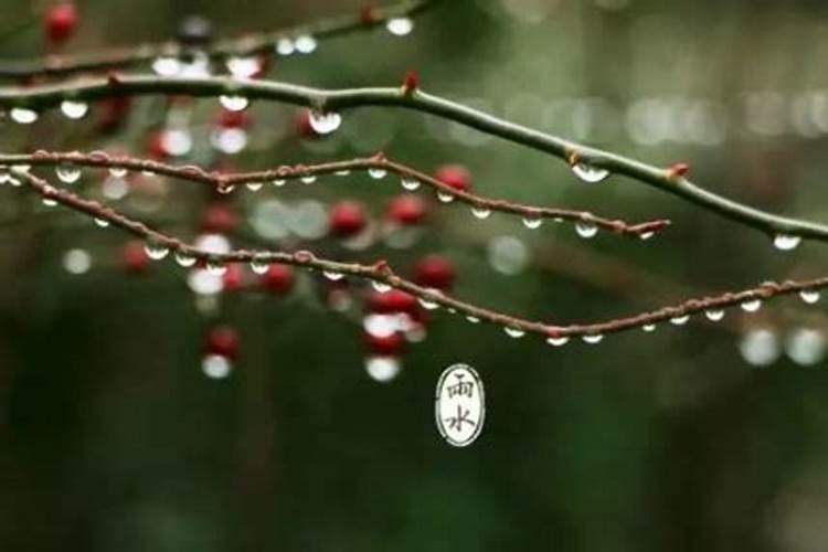 除夕过后几天有雨