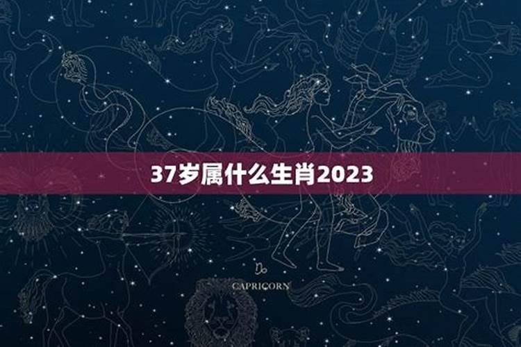 今年37岁属相是属什么的？37岁属什么的生肖