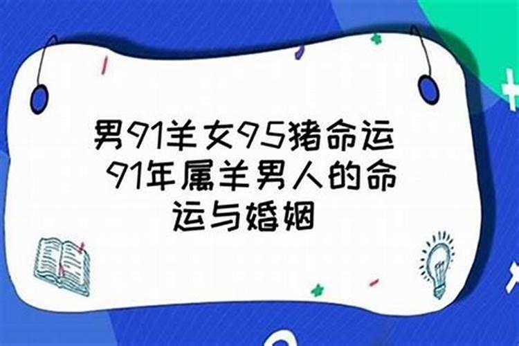 1991年属羊男的一生运势