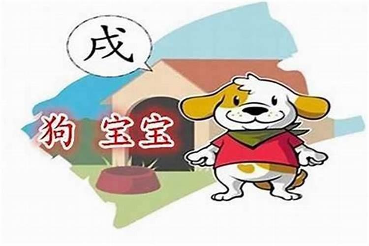 属狗5月份出生运势如何