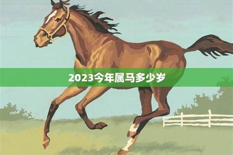 2023年属马虚岁多大