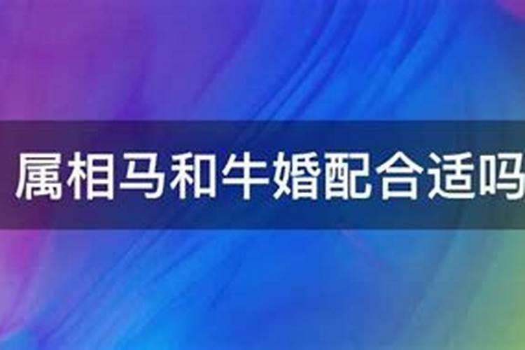 梦见前妻和别的男人在一起吃饭聊天