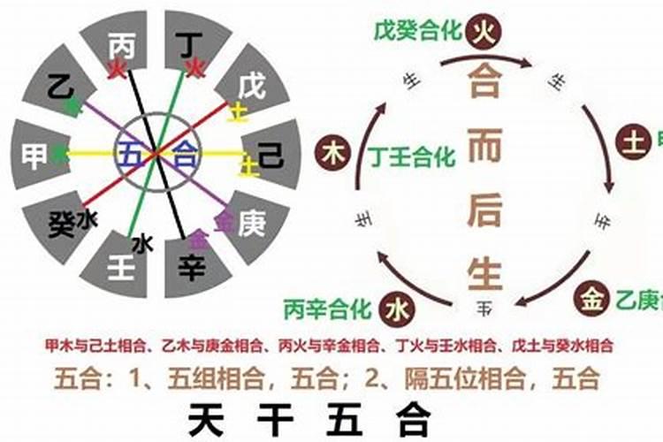 两人合婚八字日干五合怎么样