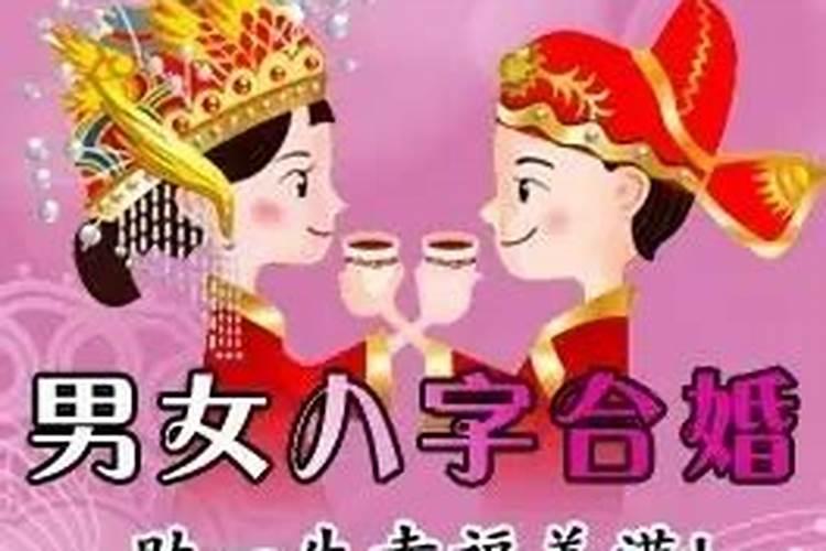 女属马的婚配属相最好