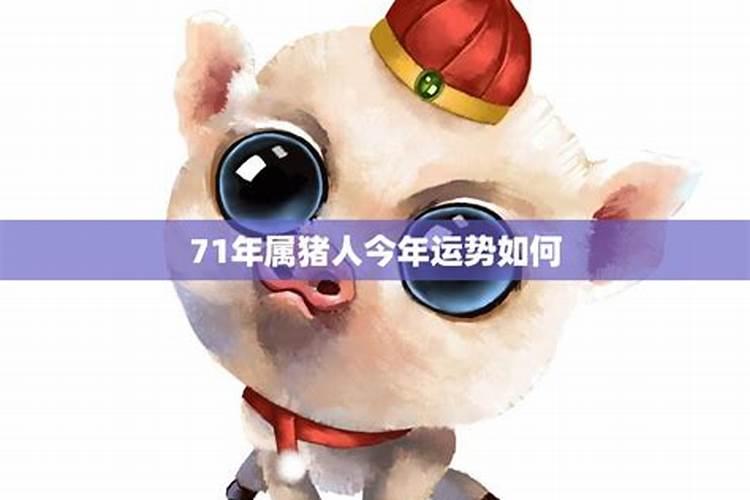 1971属猪12月份运程如何