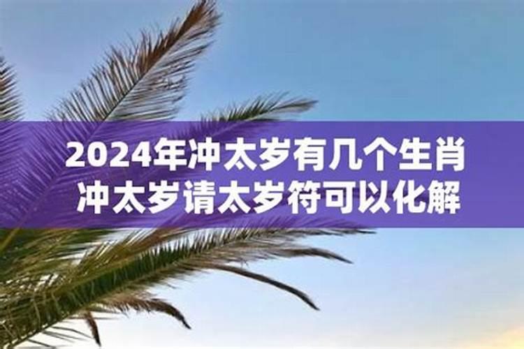 属猪人出生12个月12种不同命