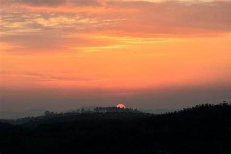 乌衣巷口夕阳斜,花井花谢来几许是什么生肖