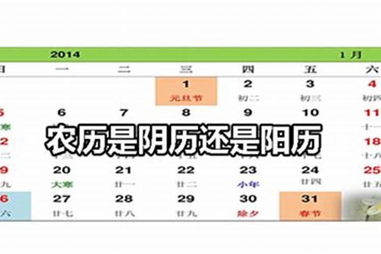 新历8.21农历是鬼节吗