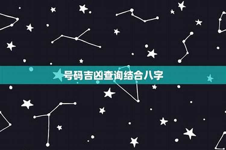 十二星座八字合不合