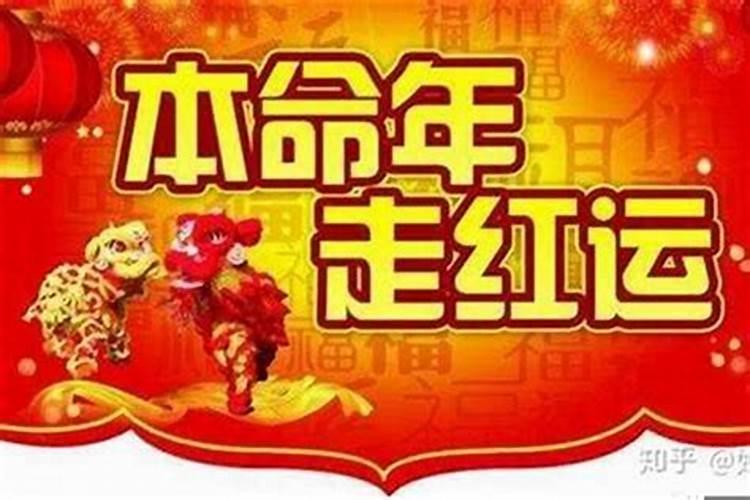 本领年犯太岁是什么意思