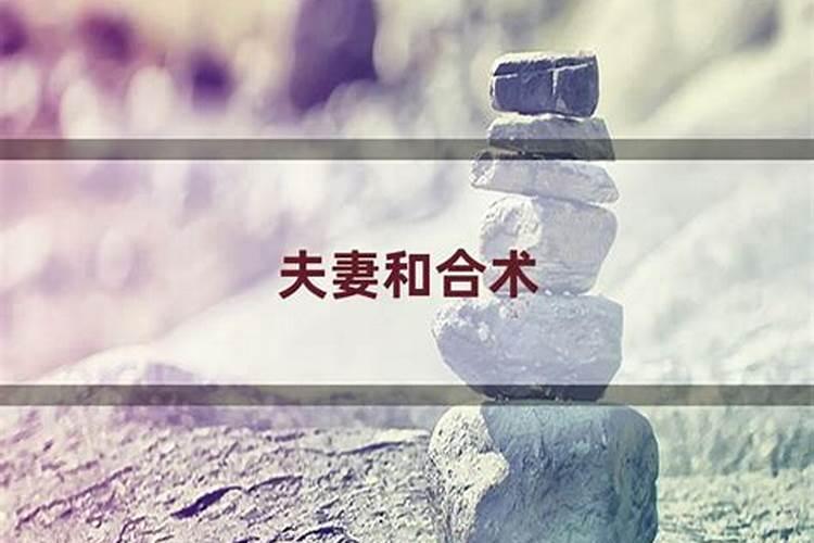 2023年金木水火土五行属什么