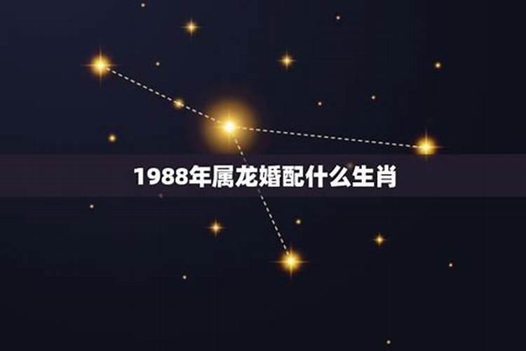 1988年属龙的人婚配