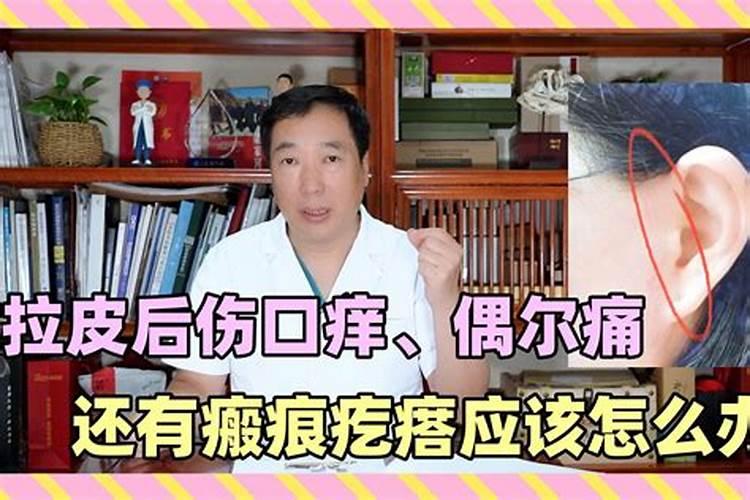 刘备十二生肖属什么生肖