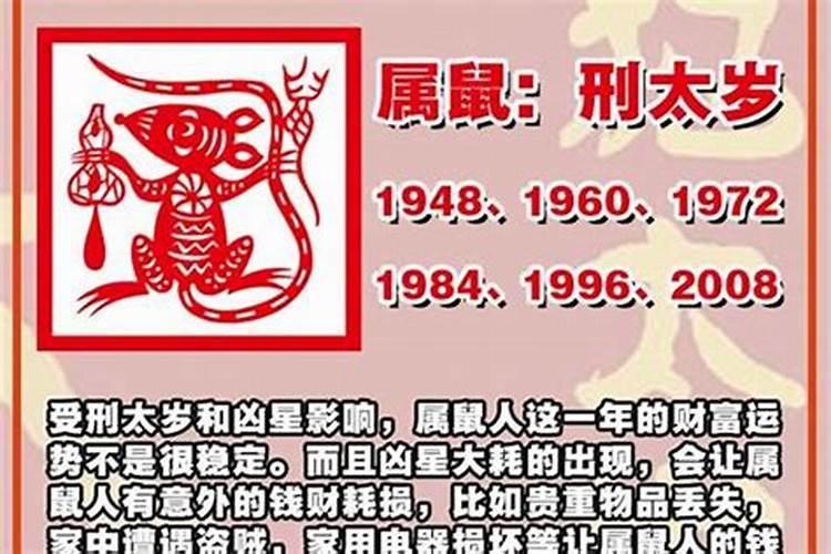 属龙今年犯太岁怎么化解