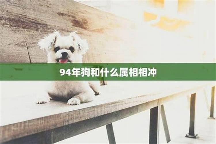 狗年跟猪年八字合吗