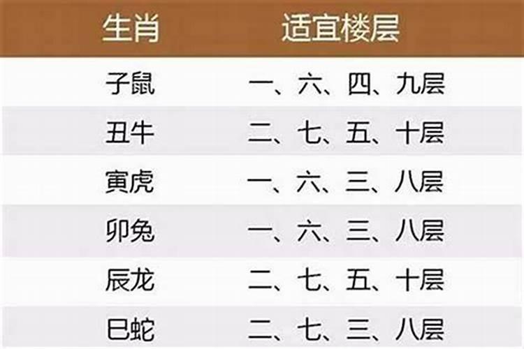 鼠生肖买房子几楼最好