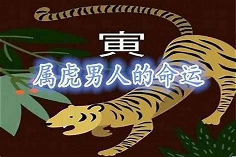 1998年8月属虎运势如何