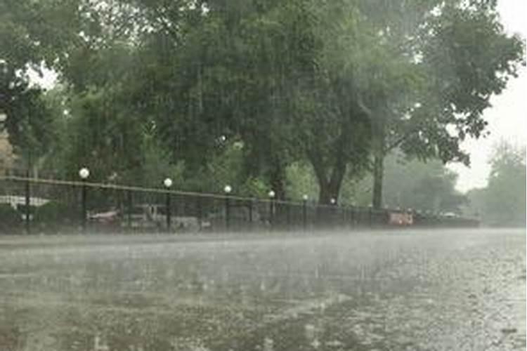 好久没下雨了梦见了下雨的场景