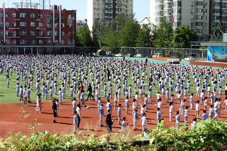 梦见很多学生在操场