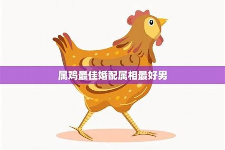 八字算命命卦东四命什么意思啊