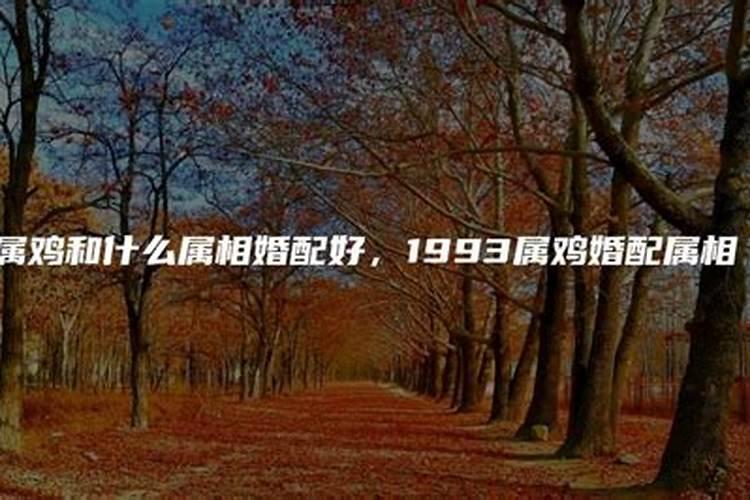 1993女鸡婚配什么属相