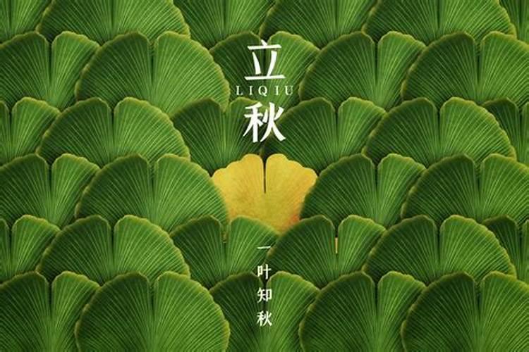 24节气中立秋的含义是什么