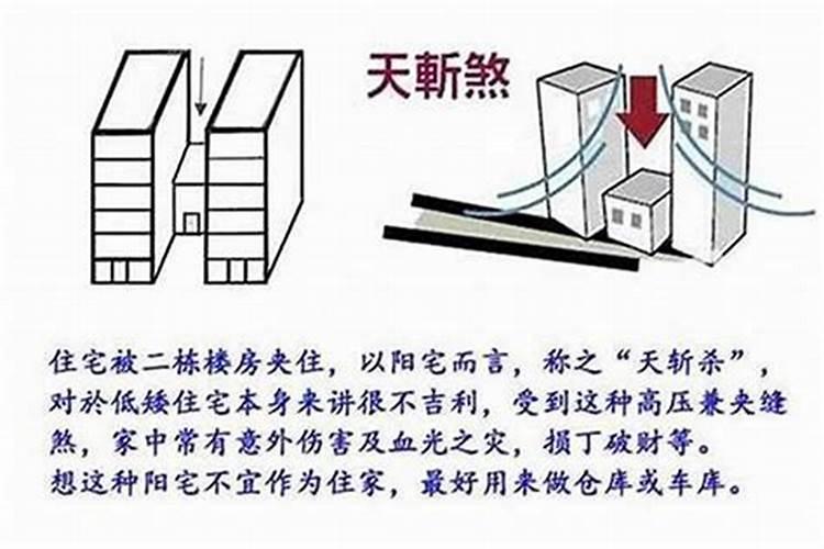 批八字犯白猛什么意思