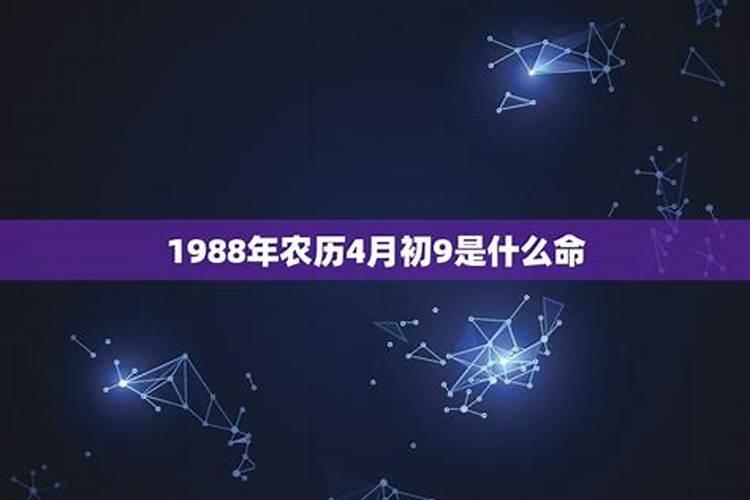 1988年7月初二今年的运势